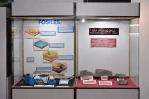 El Museo Molina se prepara para una nueva edición de la Noche de los Museos