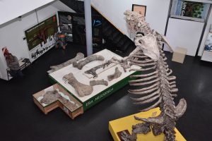 El Museo Molina se prepara para una nueva edición de la Noche de los Museos