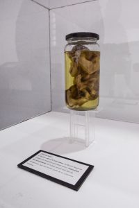 El Museo Molina se prepara para una nueva edición de la Noche de los Museos