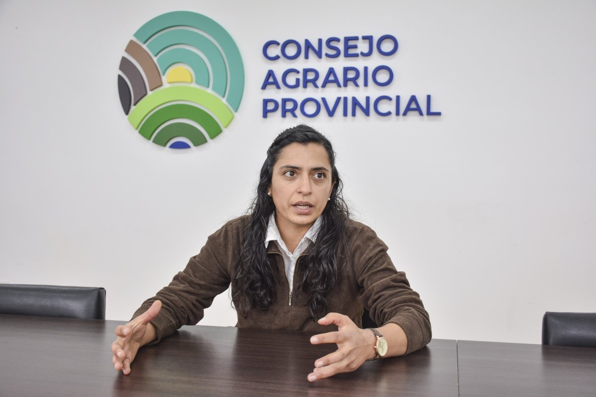 Consejo Agrario Provincial: “Si no hubiese sido asediado, el puma se quedaba en el lugar”