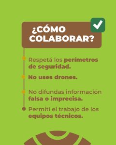 Ante la presencia o avistaje de fauna silvestre: ¿Qué debemos hacer?
