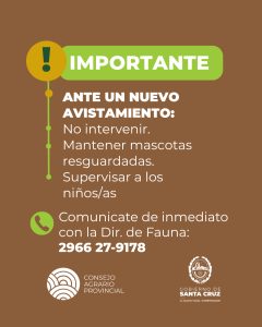 Ante la presencia o avistaje de fauna silvestre: ¿Qué debemos hacer?