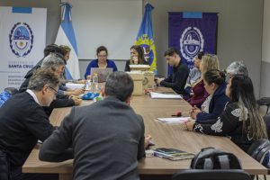 Políticas alimentarias: se realizó la apertura de sobres para la licitación de módulos alimentarios y del programa “Crecer con Sabor”
