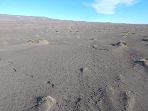 Después de más de 10 años Santa Cruz trabaja en el control de médanos en la provincia