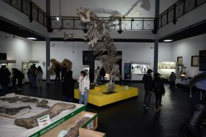 Con participación del Gobierno Provincial, la Noche de los Museos convocó a cientos de vecinos en Río Gallegos