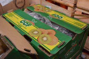 Frutas y verduras de calidad y bajo costo: Santa Cruz Puede inauguró el Mercado Concentrador Patagónico en Río Gallegos