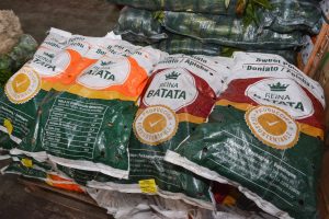 Frutas y verduras de calidad y bajo costo: Santa Cruz Puede inauguró el Mercado Concentrador Patagónico en Río Gallegos