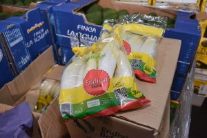 Frutas y verduras de calidad y bajo costo: Santa Cruz Puede inauguró el Mercado Concentrador Patagónico en Río Gallegos