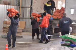 Frutas y verduras de calidad y bajo costo: Santa Cruz Puede inauguró el Mercado Concentrador Patagónico en Río Gallegos