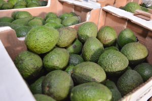 Frutas y verduras de calidad y bajo costo: Santa Cruz Puede inauguró el Mercado Concentrador Patagónico en Río Gallegos