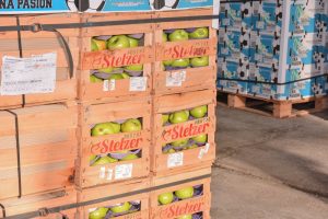Frutas y verduras de calidad y bajo costo: Santa Cruz Puede inauguró el Mercado Concentrador Patagónico en Río Gallegos
