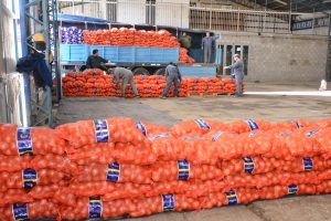 Frutas y verduras de calidad y bajo costo: Santa Cruz Puede inauguró el Mercado Concentrador Patagónico en Río Gallegos