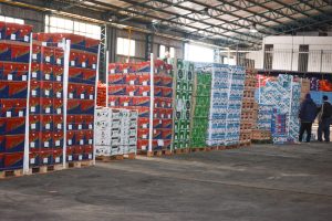 Frutas y verduras de calidad y bajo costo: Santa Cruz Puede inauguró el Mercado Concentrador Patagónico en Río Gallegos