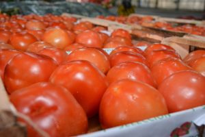 Frutas y verduras de calidad y bajo costo: Santa Cruz Puede inauguró el Mercado Concentrador Patagónico en Río Gallegos
