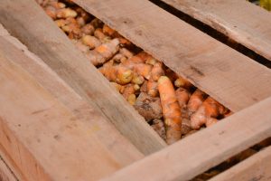 Frutas y verduras de calidad y bajo costo: Santa Cruz Puede inauguró el Mercado Concentrador Patagónico en Río Gallegos