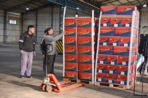 Frutas y verduras de calidad y bajo costo: Santa Cruz Puede inauguró el Mercado Concentrador Patagónico en Río Gallegos