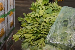 Frutas y verduras de calidad y bajo costo: Santa Cruz Puede inauguró el Mercado Concentrador Patagónico en Río Gallegos