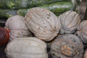 Frutas y verduras de calidad y bajo costo: Santa Cruz Puede inauguró el Mercado Concentrador Patagónico en Río Gallegos