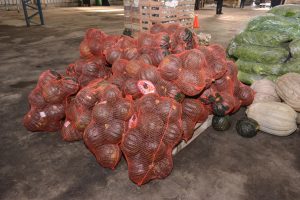 Frutas y verduras de calidad y bajo costo: Santa Cruz Puede inauguró el Mercado Concentrador Patagónico en Río Gallegos