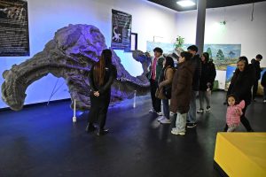 Más de 1.200 personas participaron de la Noche de los Museos en Río Gallegos