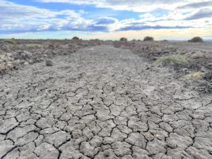 Santa Cruz continúa los trabajos para controlar el avance de médanos sobre la Ruta Provincial N° 288