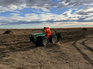 Santa Cruz continúa los trabajos para controlar el avance de médanos sobre la Ruta Provincial N° 288