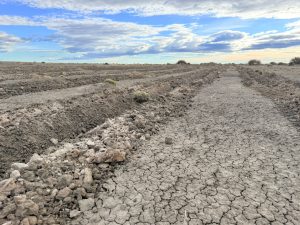 Santa Cruz continúa los trabajos para controlar el avance de médanos sobre la Ruta Provincial N° 288