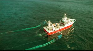 Pesca: Santa Cruz suma observadores provinciales a la prospección de langostino