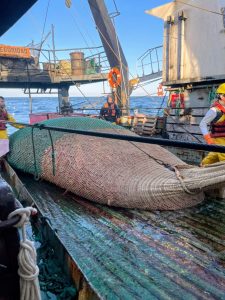 Pesca: Santa Cruz suma observadores provinciales a la prospección de langostino