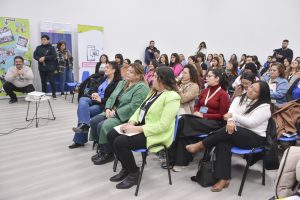 Con representantes de las distintas localidades sesiona el Consejo Provincial de Niñez en Río Gallegos