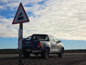 Vialidad Provincial continúa reforzando la señalización vial