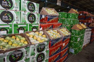 El Mercado Concentrador Patagónico abrirá este sábado sus puertas al público general