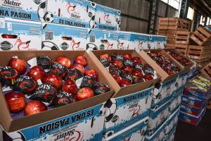 El Mercado Concentrador Patagónico abrirá este sábado sus puertas al público general