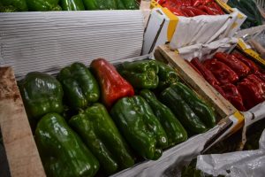El Mercado Concentrador Patagónico abrirá este sábado sus puertas al público general