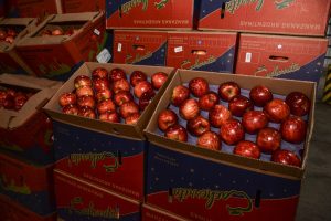 El Mercado Concentrador Patagónico abrirá este sábado sus puertas al público general