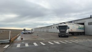 Llegaron cítricos premium de Entre Ríos al Mercado Concentrador Patagónico inicia su segunda semana de venta mayorista