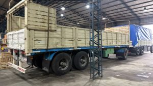 Llegaron cítricos premium de Entre Ríos al Mercado Concentrador Patagónico inicia su segunda semana de venta mayorista