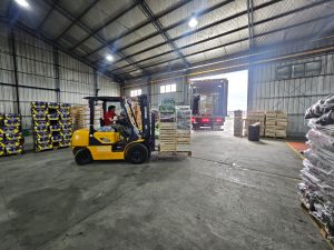 Llegaron cítricos premium de Entre Ríos al Mercado Concentrador Patagónico inicia su segunda semana de venta mayorista