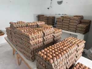 Claudio Vidal recorrió la planta avícola de Puerto Santa Cruz y destacó el impulso a la producción local