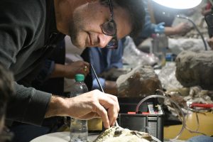 El Museo Padre Molina realizó una capacitación técnica en paleontología de vertebrados