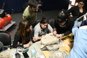 El Museo Padre Molina realizó una capacitación técnica en paleontología de vertebrados