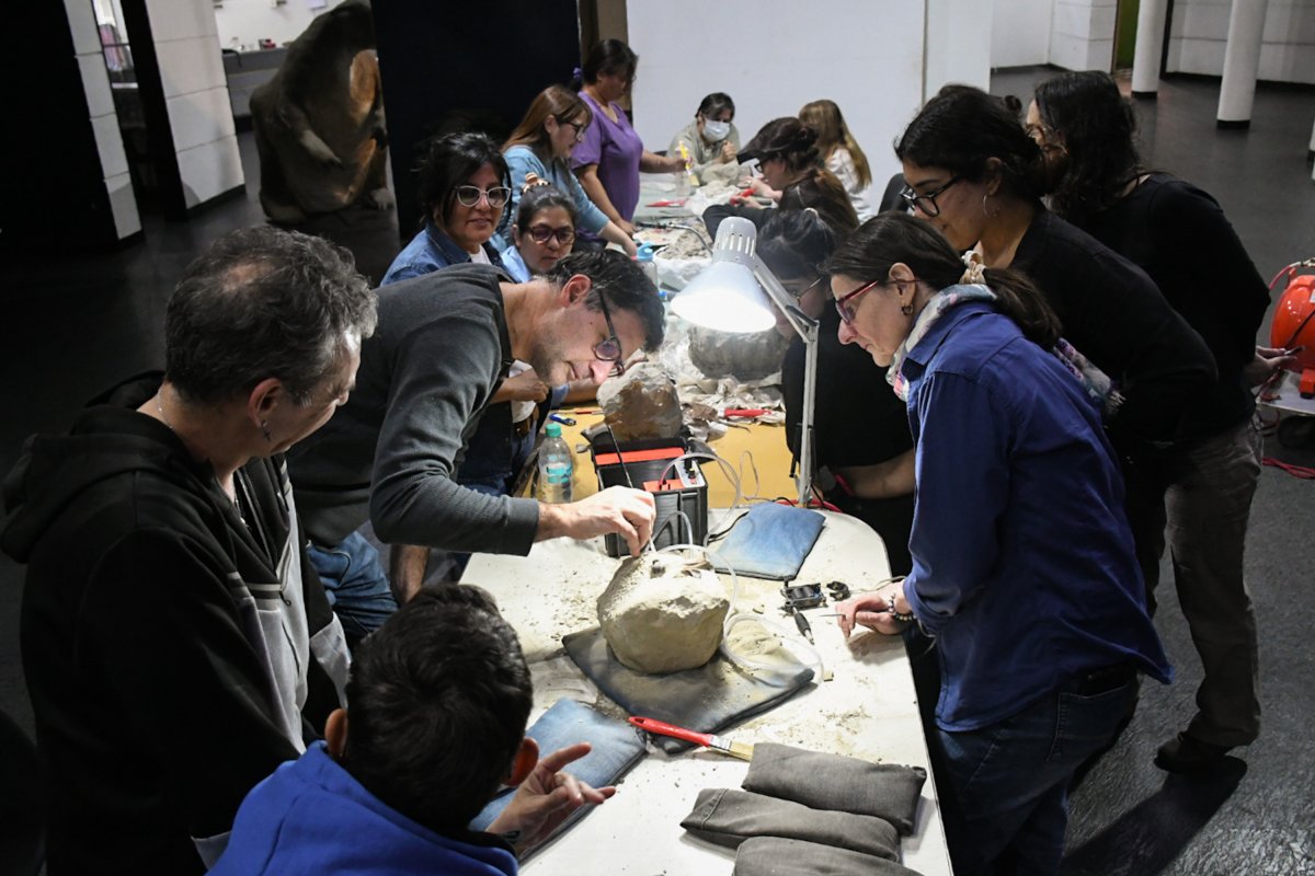 El Museo Padre Molina realizó una capacitación técnica en paleontología de vertebrados