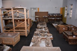 El Museo Padre Molina fue seleccionado para un proyecto de capacitación en preservación de fósiles