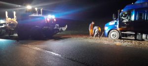 Vialidad Provincial asistió a un camión varado en Bajo Caracoles