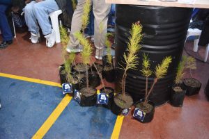 Juegos, aprendizaje y forestación: la propuesta del Consejo Agrario en Viva Barrio