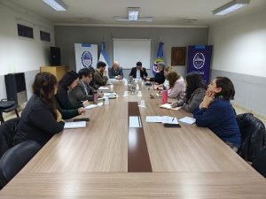 Salud Mental: el Órgano de Revisión Provincial realizó una nueva reunión plenaria