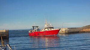 Arribó el primer tangonero en más de un año al Puerto Caleta Paula
