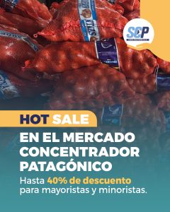 Mercado Concentrador Patagónico: este jueves llega el Hot Sale con descuentos de hasta el 40% para todos
