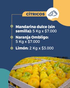 Mercado Concentrador Patagónico: este jueves llega el Hot Sale con descuentos de hasta el 40% para todos