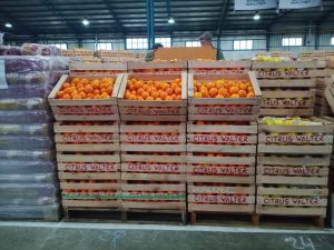 Mercado Concentrador Patagónico: este jueves llega el Hot Sale con descuentos de hasta el 40% para todos
